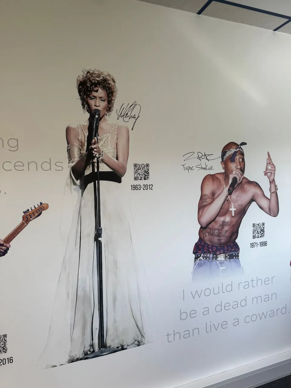 Majestic Wall - Wandmalerei Sänger