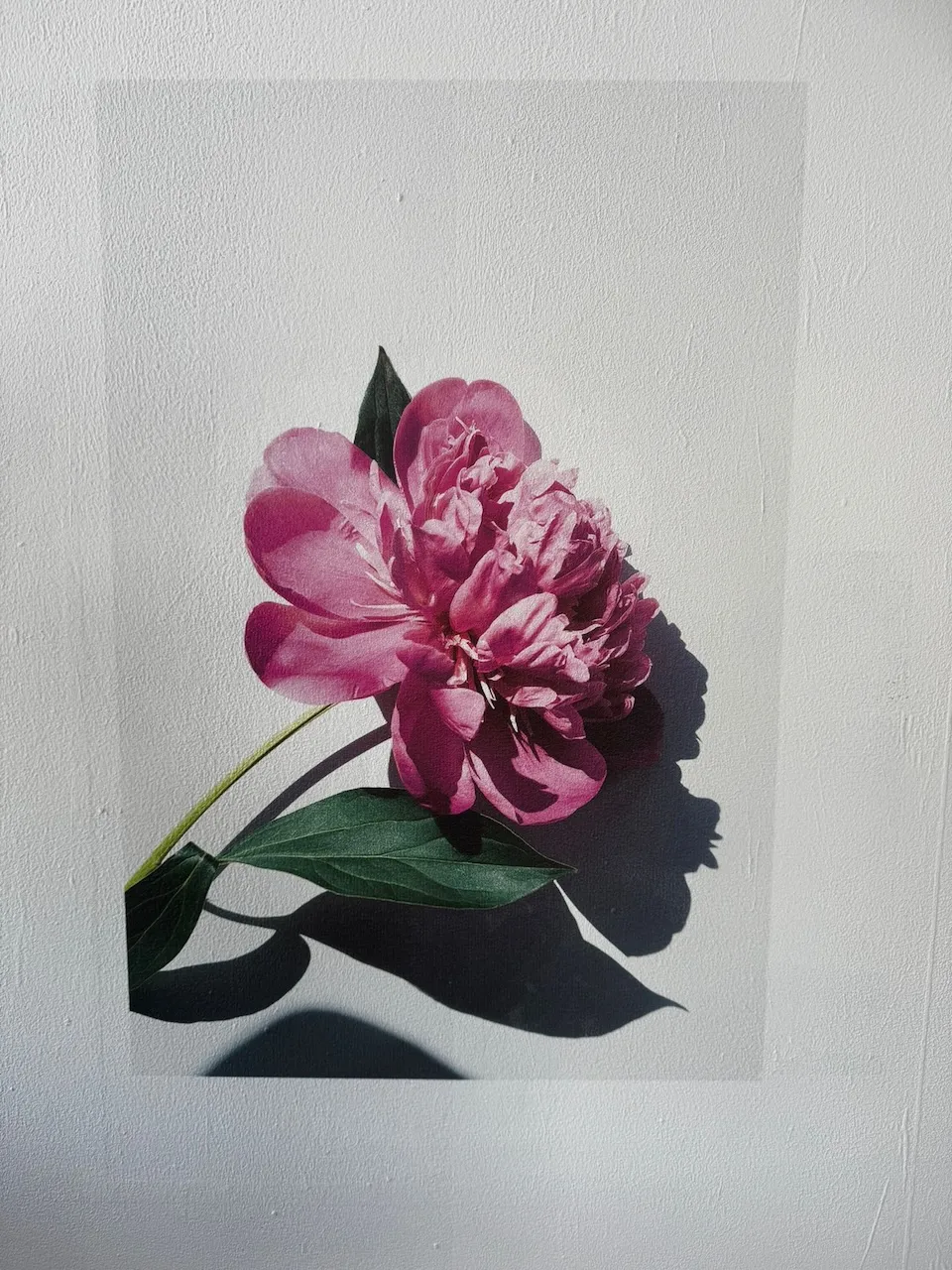 Majestic Wall - Wandgemälde mit Blumen